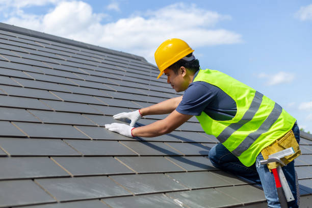 Best Roof Gutter Cleaning  in Duboistown, PA