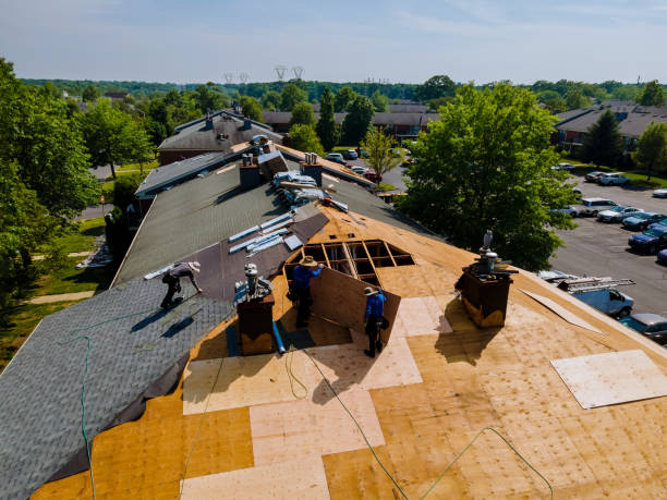 Best Flat Roof Repair Services  in Duboistown, PA