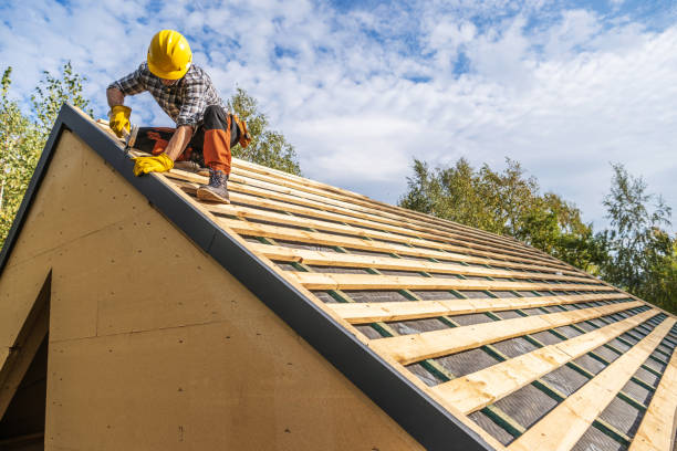 Best Local Roofing Companies  in Duboistown, PA